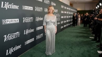 Sydney Sweeney Silver Dress