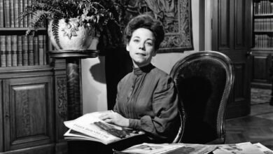 stella luchetta