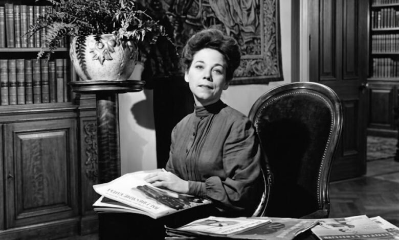 stella luchetta